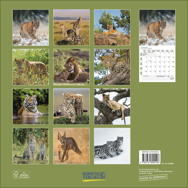 Weitere Ansicht: Big Cats 2026