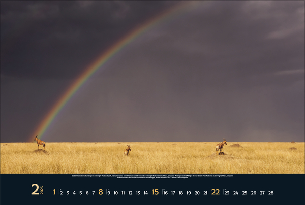 Weitere Ansicht: Wilde Tiere - weite Landschaft 2026