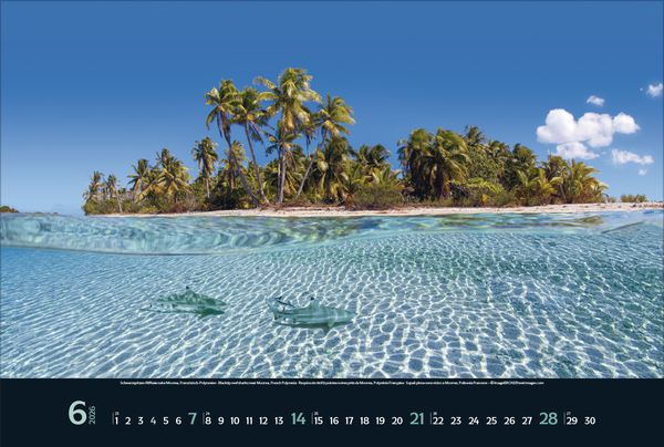 Weitere Ansicht: Wilde Tiere - weite Landschaft 2026