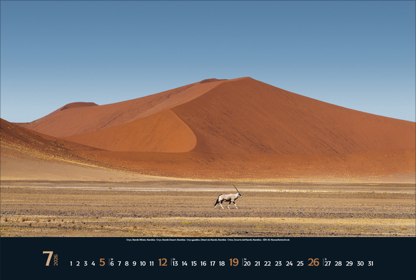 Weitere Ansicht: Wilde Tiere - weite Landschaft 2026