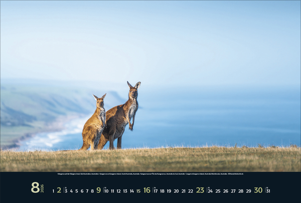 Weitere Ansicht: Wilde Tiere - weite Landschaft 2026