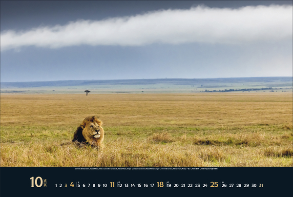 Weitere Ansicht: Wilde Tiere - weite Landschaft 2026