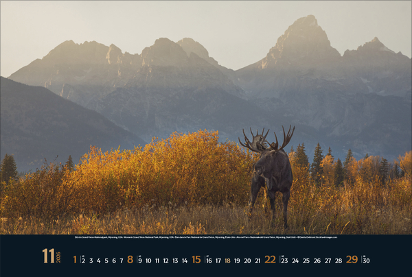 Weitere Ansicht: Wilde Tiere - weite Landschaft 2026