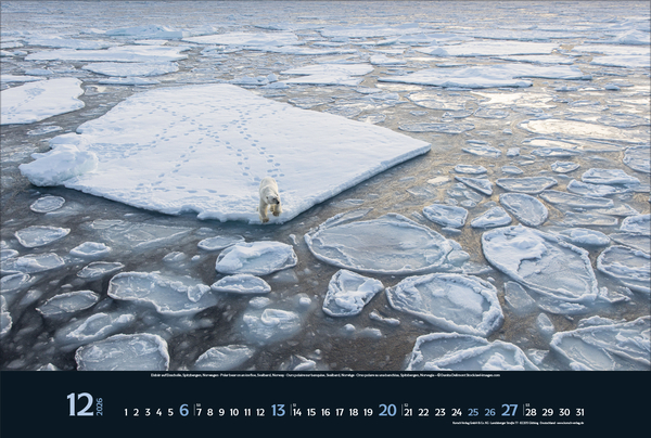 Weitere Ansicht: Wilde Tiere - weite Landschaft 2026