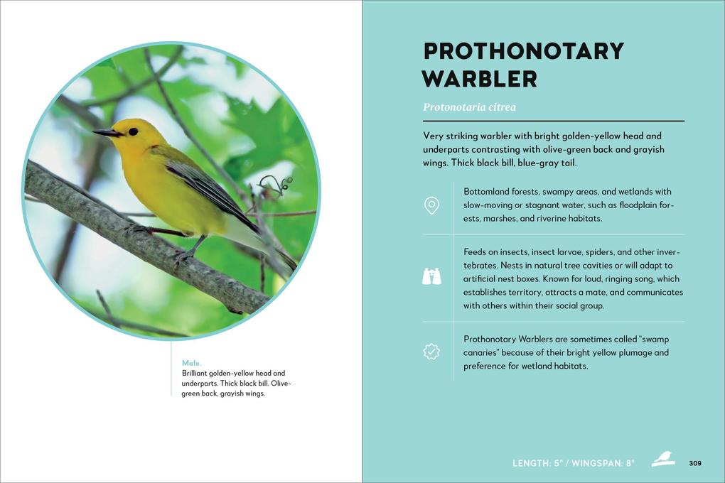 Weitere Ansicht: Birds of the Great Lakes | Dexter Patterson