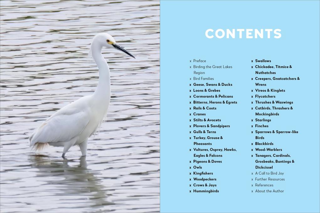 Weitere Ansicht: Birds of the Great Lakes | Dexter Patterson