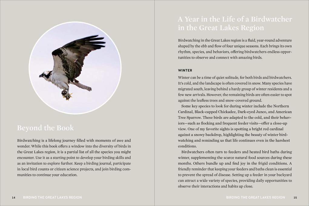 Weitere Ansicht: Birds of the Great Lakes | Dexter Patterson