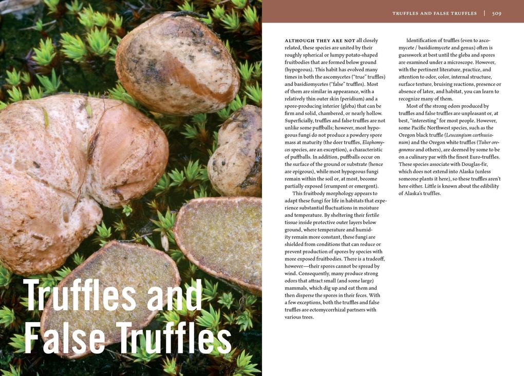 Weitere Ansicht: Mushrooms of Alaska | Steve Trudell, Noah Siegel, Kate Mohatt