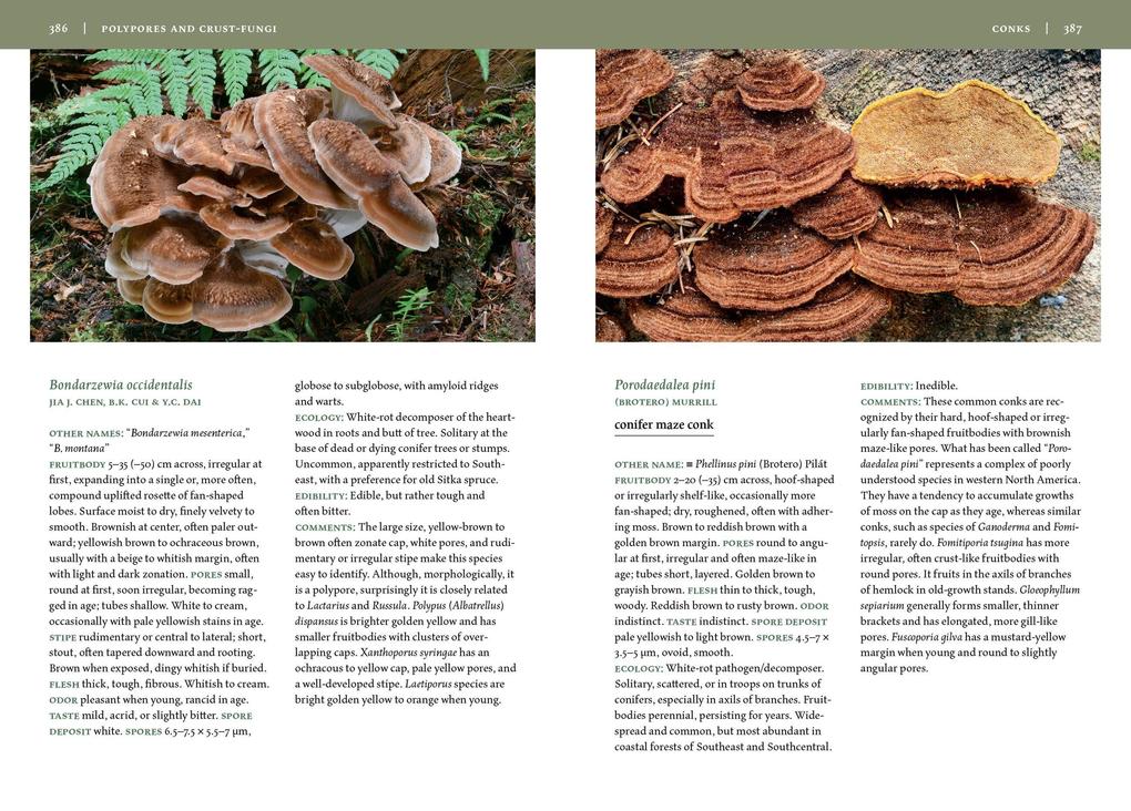 Weitere Ansicht: Mushrooms of Alaska | Steve Trudell, Noah Siegel, Kate Mohatt