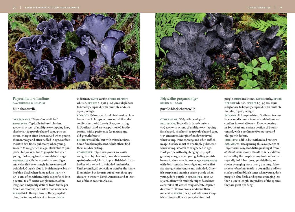 Weitere Ansicht: Mushrooms of Alaska | Steve Trudell, Noah Siegel, Kate Mohatt