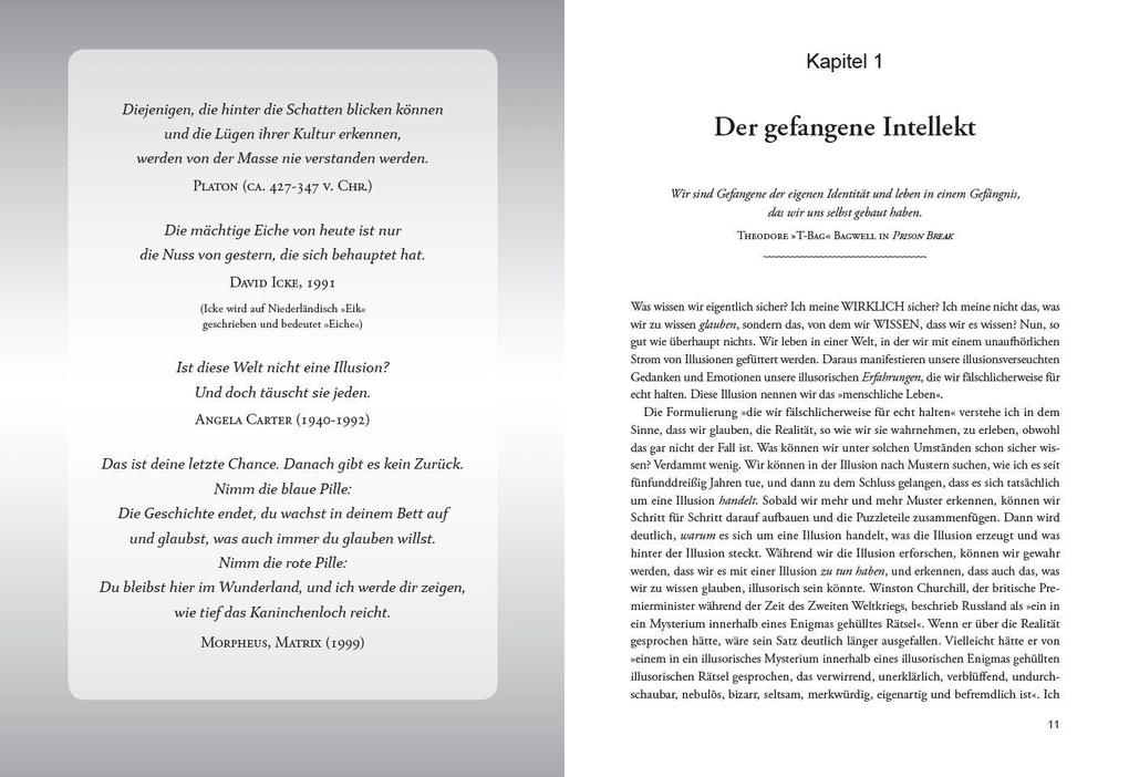 Weitere Ansicht: DIE ENTHÜLLUNG: Die nächste Stufe des menschlichen Bewusstseins | David Icke