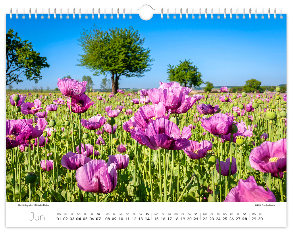 Weitere Ansicht: Kalender Tharandt und Umgebung 2026 | Peter Schubert