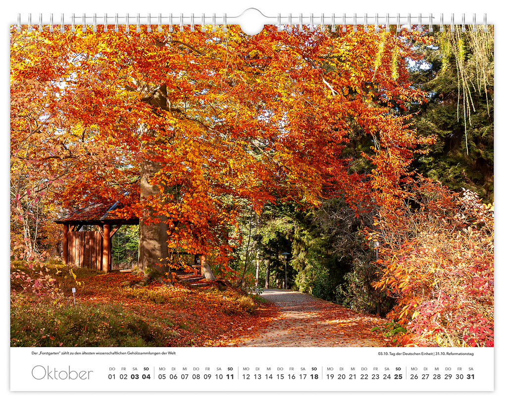 Weitere Ansicht: Kalender Tharandt und Umgebung 2026 | Peter Schubert