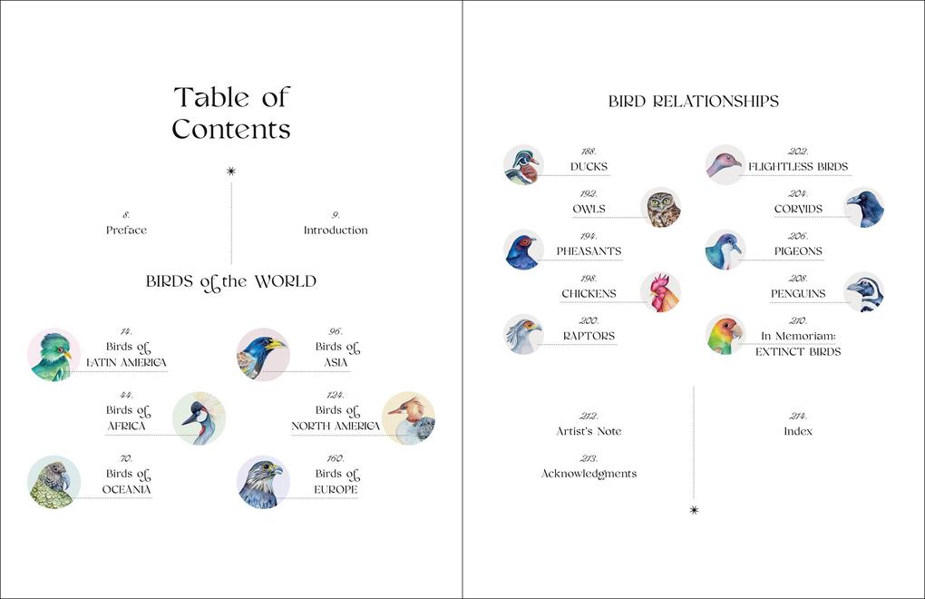 Weitere Ansicht: The Illuminated Book of Birds | Robin Crofut-Brittingham