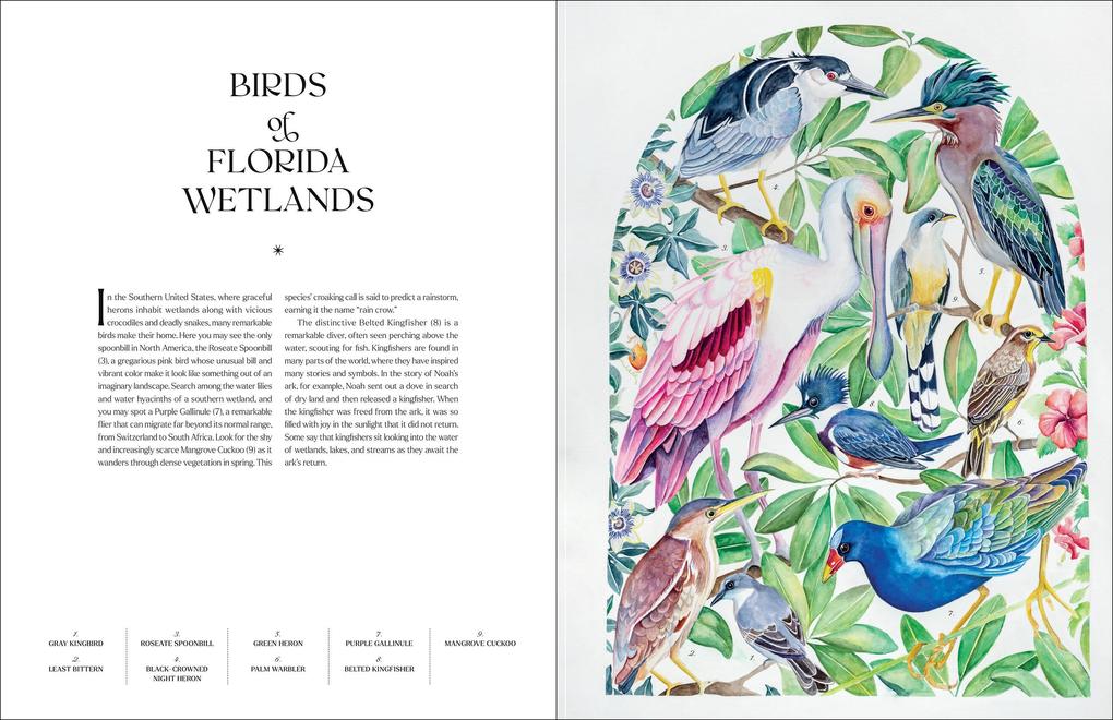 Weitere Ansicht: The Illuminated Book of Birds | Robin Crofut-Brittingham