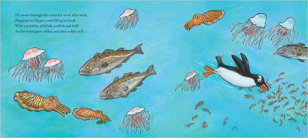 Weitere Ansicht: Jonty Gentoo - The Adventures of a Penguin | Julia Donaldson