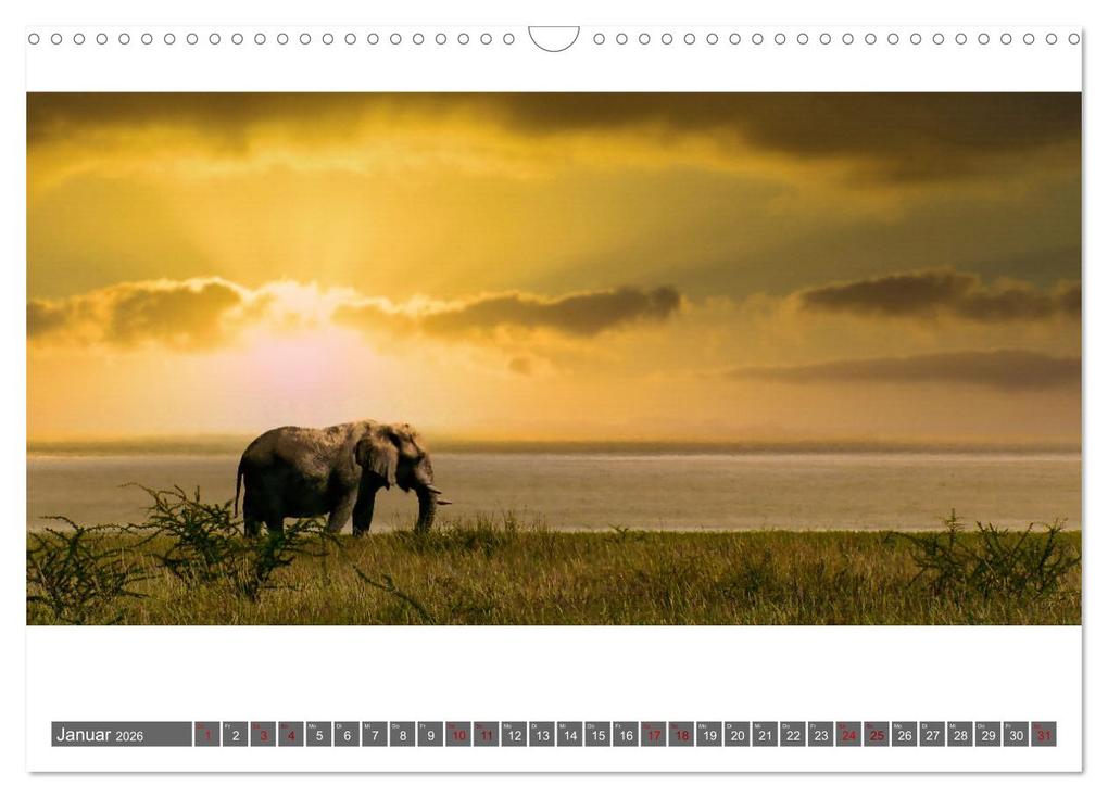 Weitere Ansicht: Namibia - Landschaft und Panorama (Wandkalender 2026 DIN A3 quer), CALVENDO Monatskalender | Herbert Böck, Calvendo