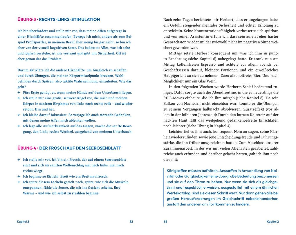 Weitere Ansicht: Mind Monkeys - Der Affenzirkus in deinem Kopf | Nadine Rass