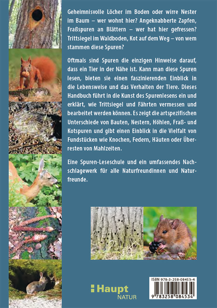 Weitere Ansicht: Fährten lesen und Spuren suchen | Nick Baker