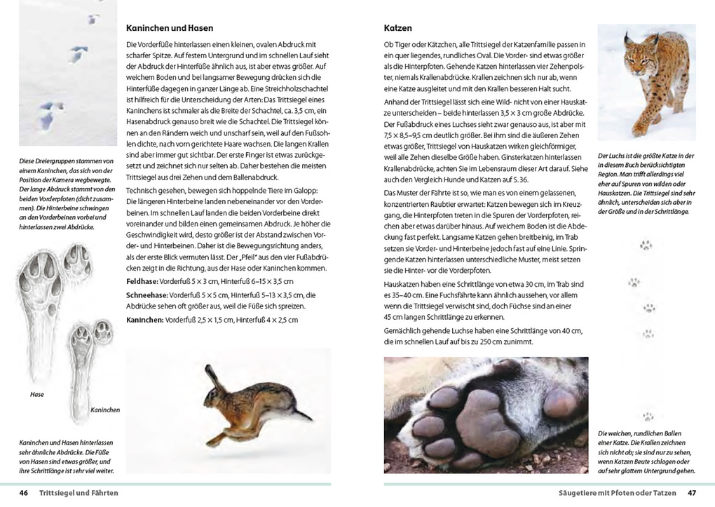 Weitere Ansicht: Fährten lesen und Spuren suchen | Nick Baker