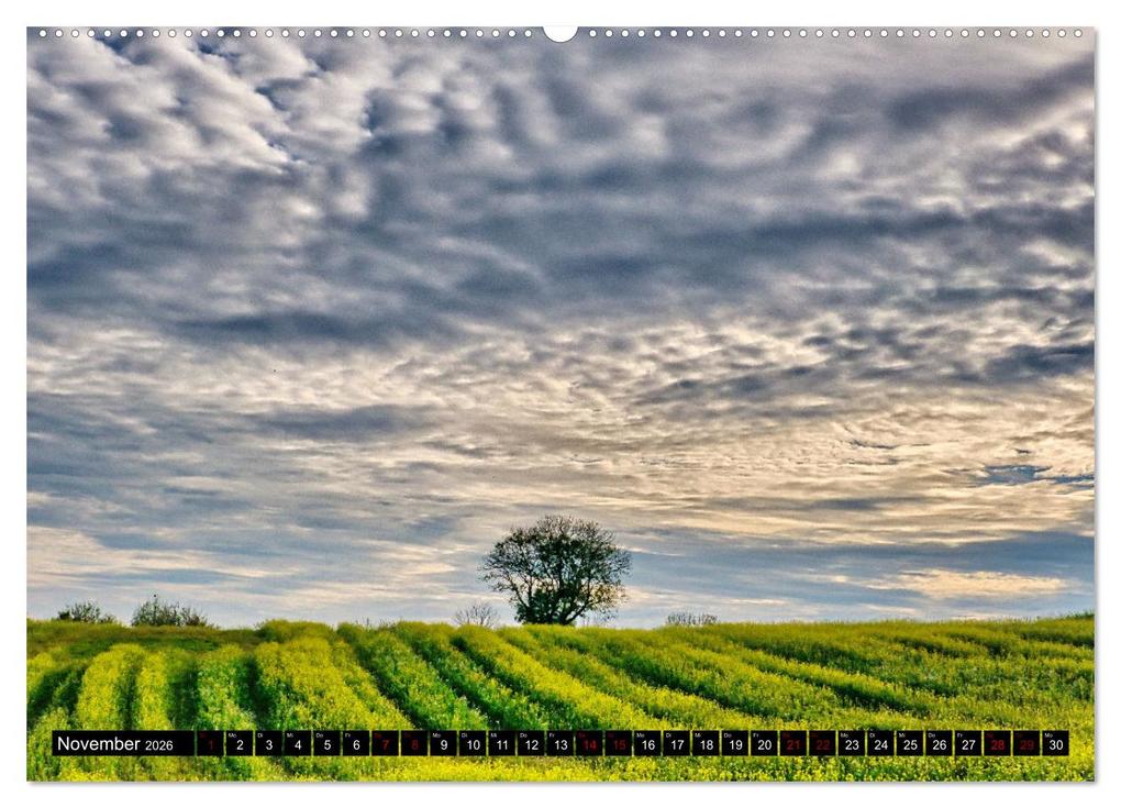 Weitere Ansicht: Die Stauden - Heimat in den westlichen Wälder Augsburg (hochwertiger Premium Wandkalender 2026 DIN A2 quer), Kunstdruck in Hochglanz | Herbert Böck, Calvendo
