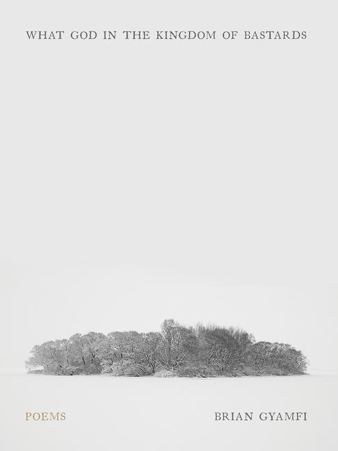 Produktbild: What God in the Kingdom of Bastards | Brian Gyamfi