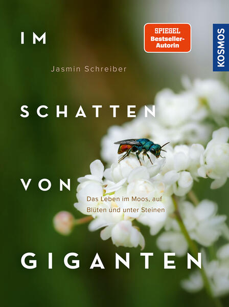 Produktbild: Im Schatten von Giganten | Jasmin Schreiber