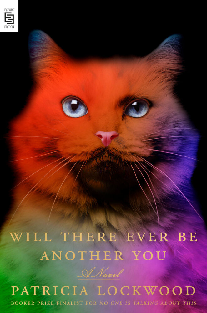 Produktbild: Will There Ever Be Another You | Patricia Lockwood