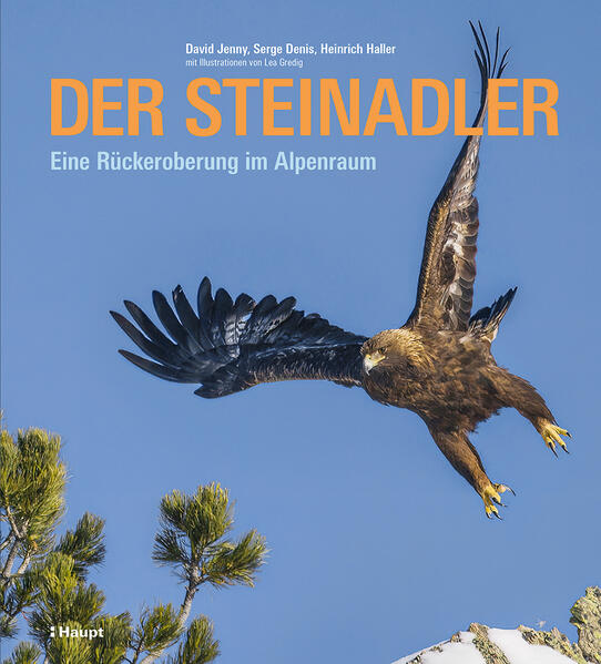 Produktbild: Der Steinadler | David Jenny, Serge Denis, Heinrich Haller