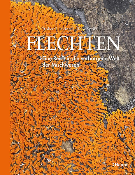 Produktbild: Flechten | Robert Lücking, Toby Spribille