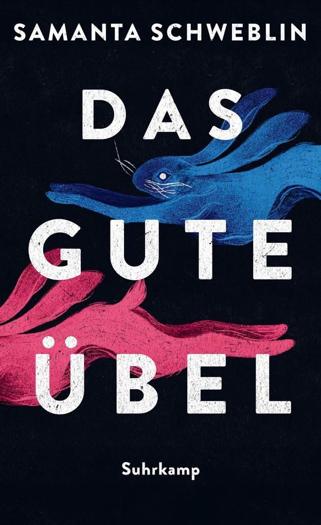Produktbild: Das gute Übel | Samanta Schweblin
