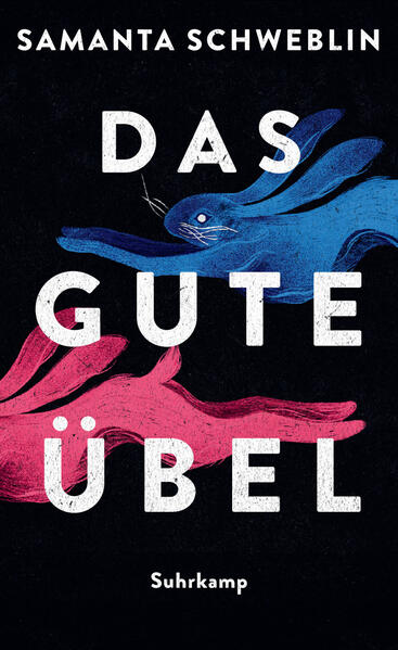 Produktbild: Das gute Übel | Samanta Schweblin