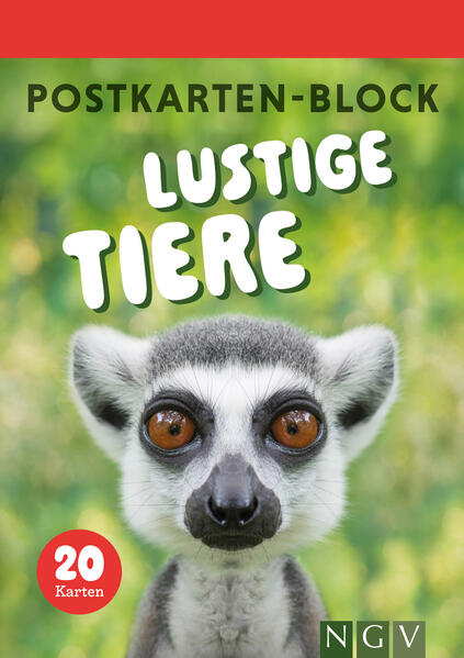 Produktbild: Postkartenblock Lustige Tiere