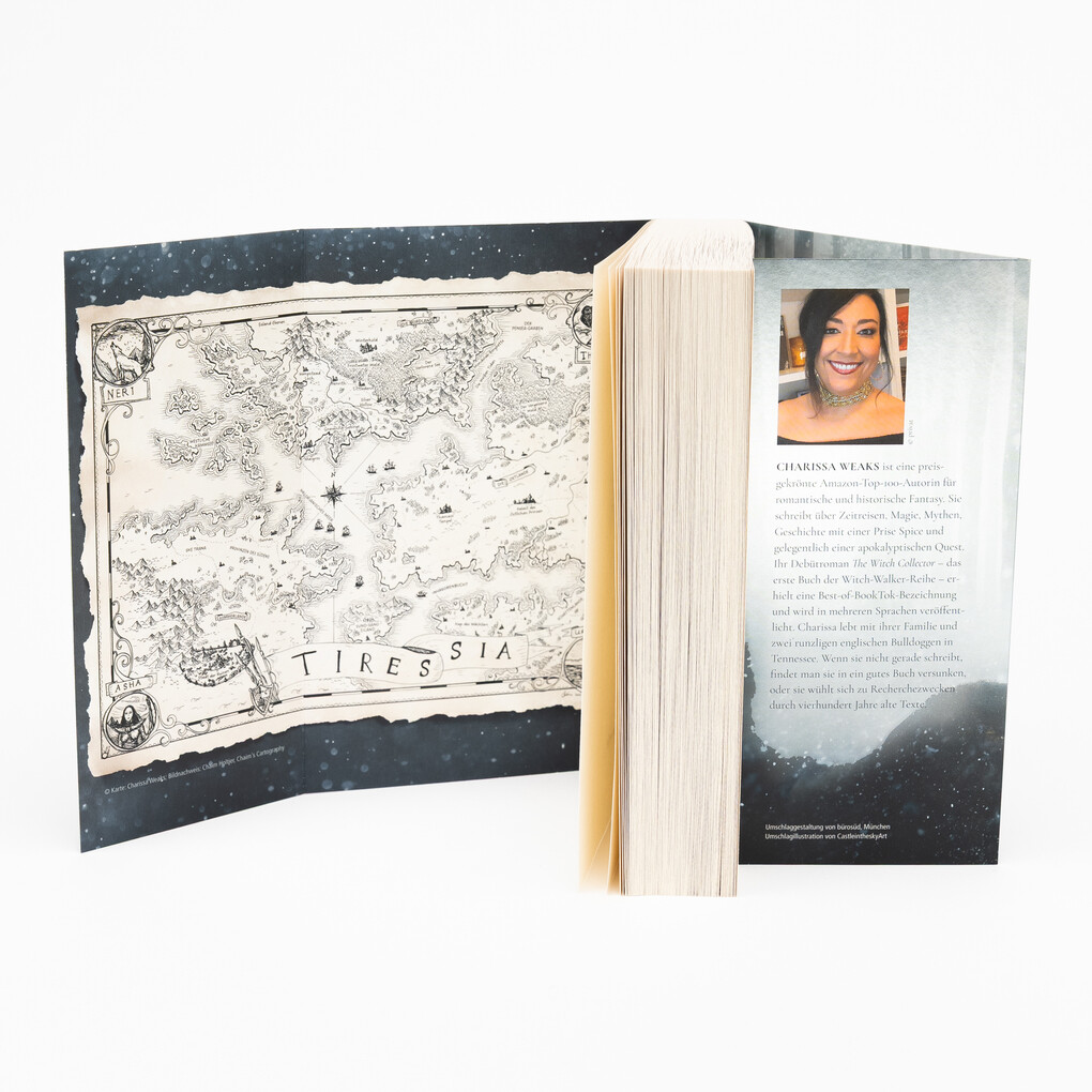 Weitere Ansicht: The Witch Collector | Charissa Weaks