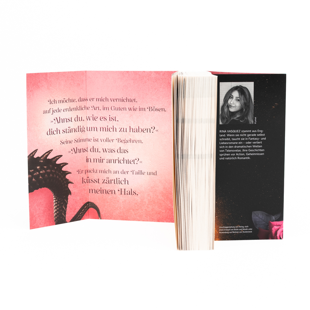 Weitere Ansicht: A Kingdom of Shadows | Rina Vasquez