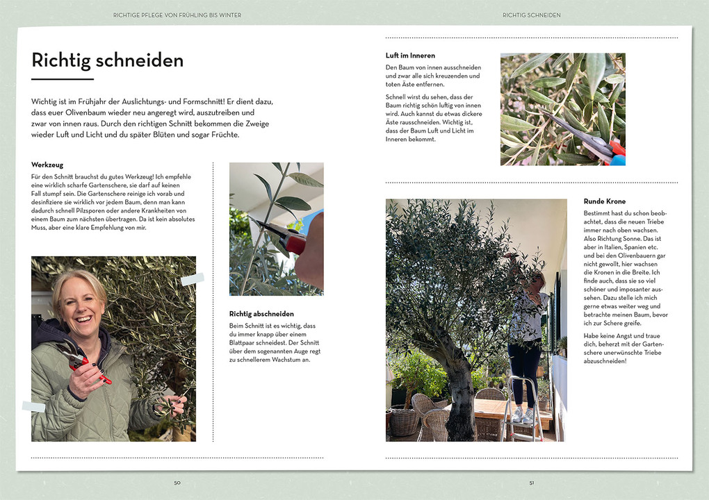 Weitere Ansicht: Olivenbaum ganz einfach | Tina Ullmann