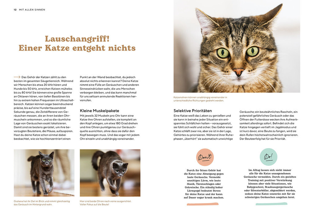 Weitere Ansicht: Katzensprache | Kerstin Höfkes