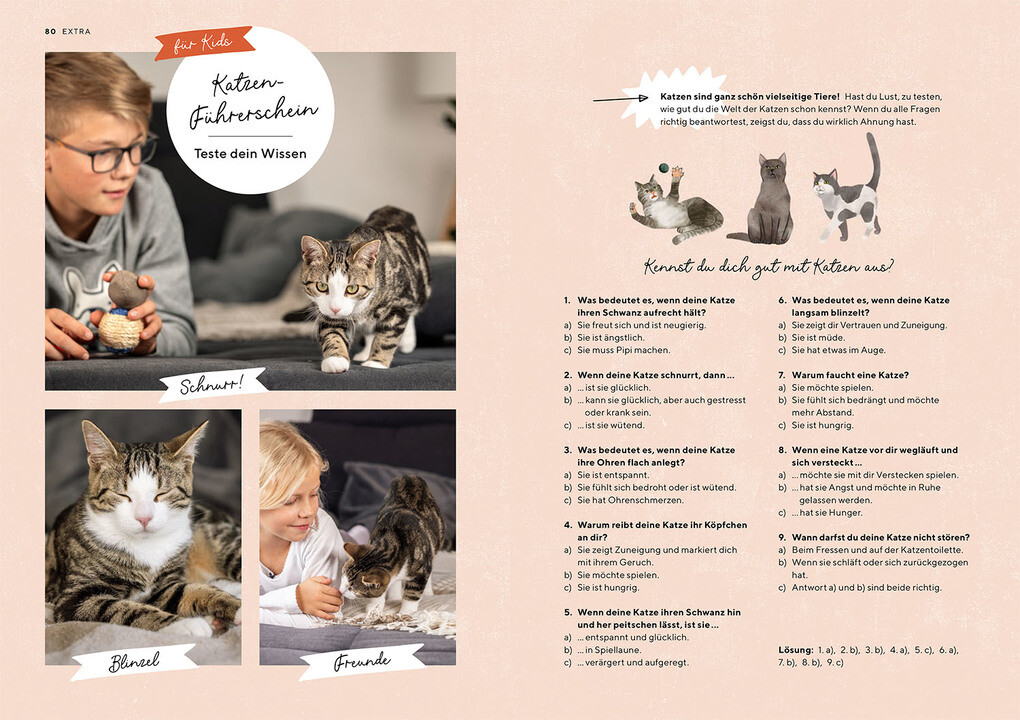 Weitere Ansicht: Katzensprache | Kerstin Höfkes