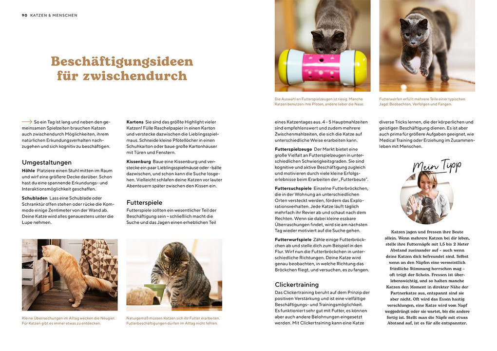 Weitere Ansicht: Katzensprache | Kerstin Höfkes