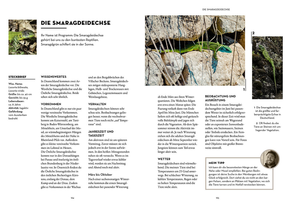 Weitere Ansicht: Tiere beobachten mit dem Wildtierguide | Patrick Hundorf (@patrickdogvillage)