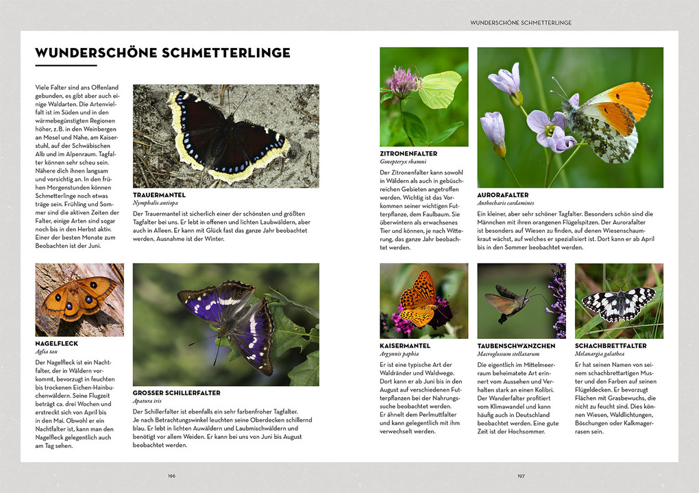 Weitere Ansicht: Tiere beobachten mit dem Wildtierguide | Patrick Hundorf (@patrickdogvillage)