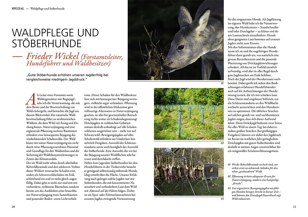 Weitere Ansicht: Jagen mit Stöberhunden | Hannah Mittner, Jonathan Mittner