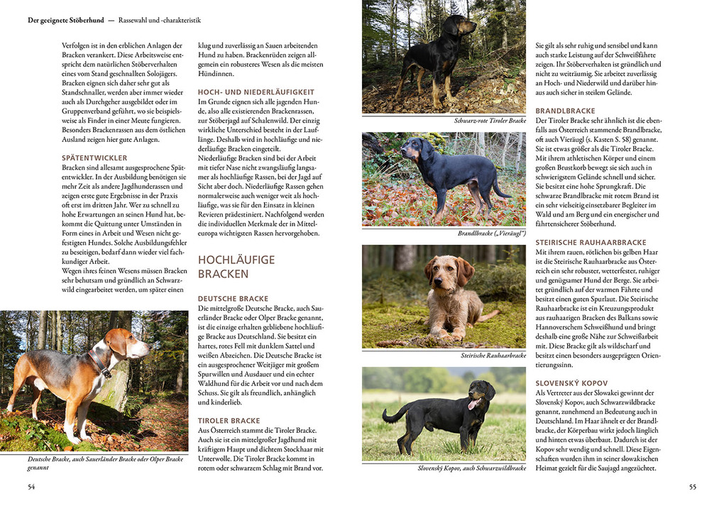 Weitere Ansicht: Jagen mit Stöberhunden | Hannah Mittner, Jonathan Mittner