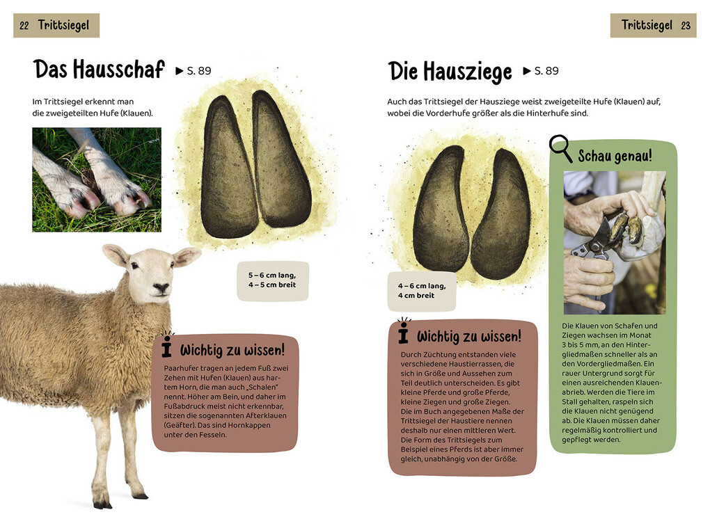Weitere Ansicht: Welche Tierspur ist das? Kindernaturführer | Anita van Saan