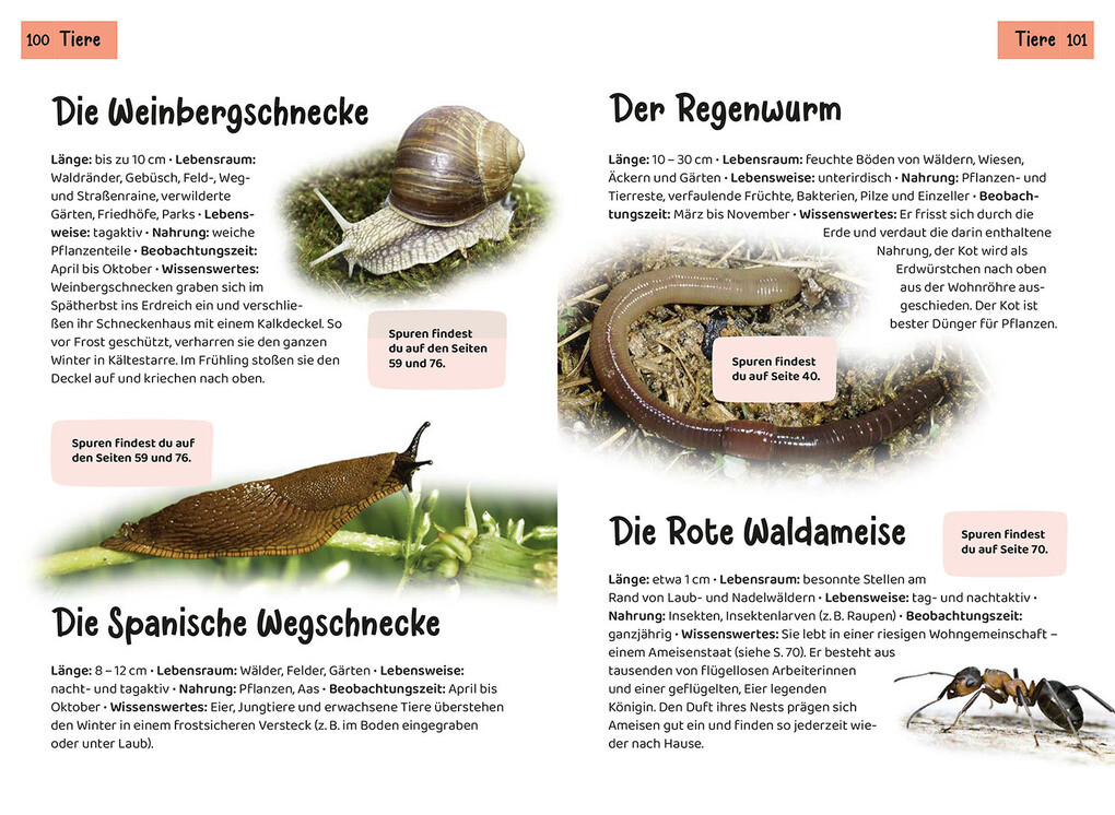 Weitere Ansicht: Welche Tierspur ist das? Kindernaturführer | Anita van Saan