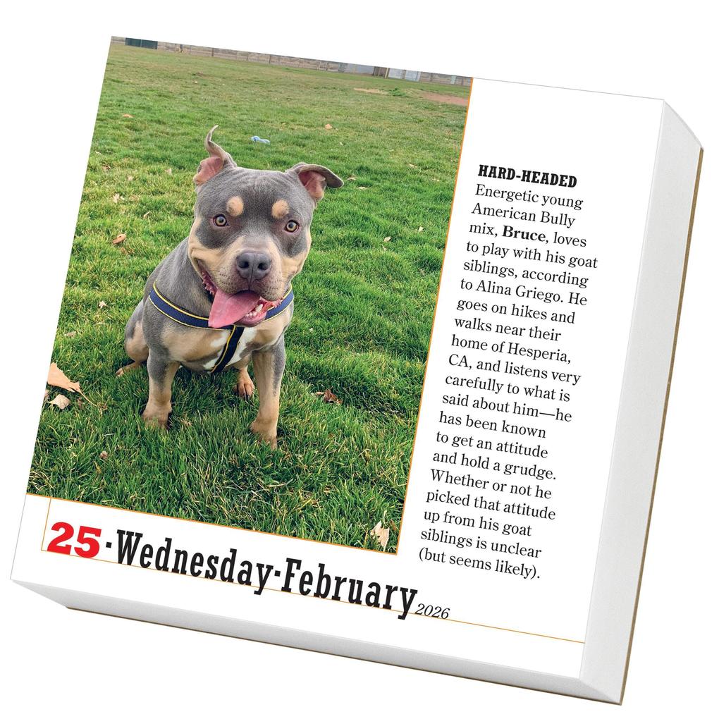 Weitere Ansicht: 365 Dogs Page-A-Day® Calendar 2026