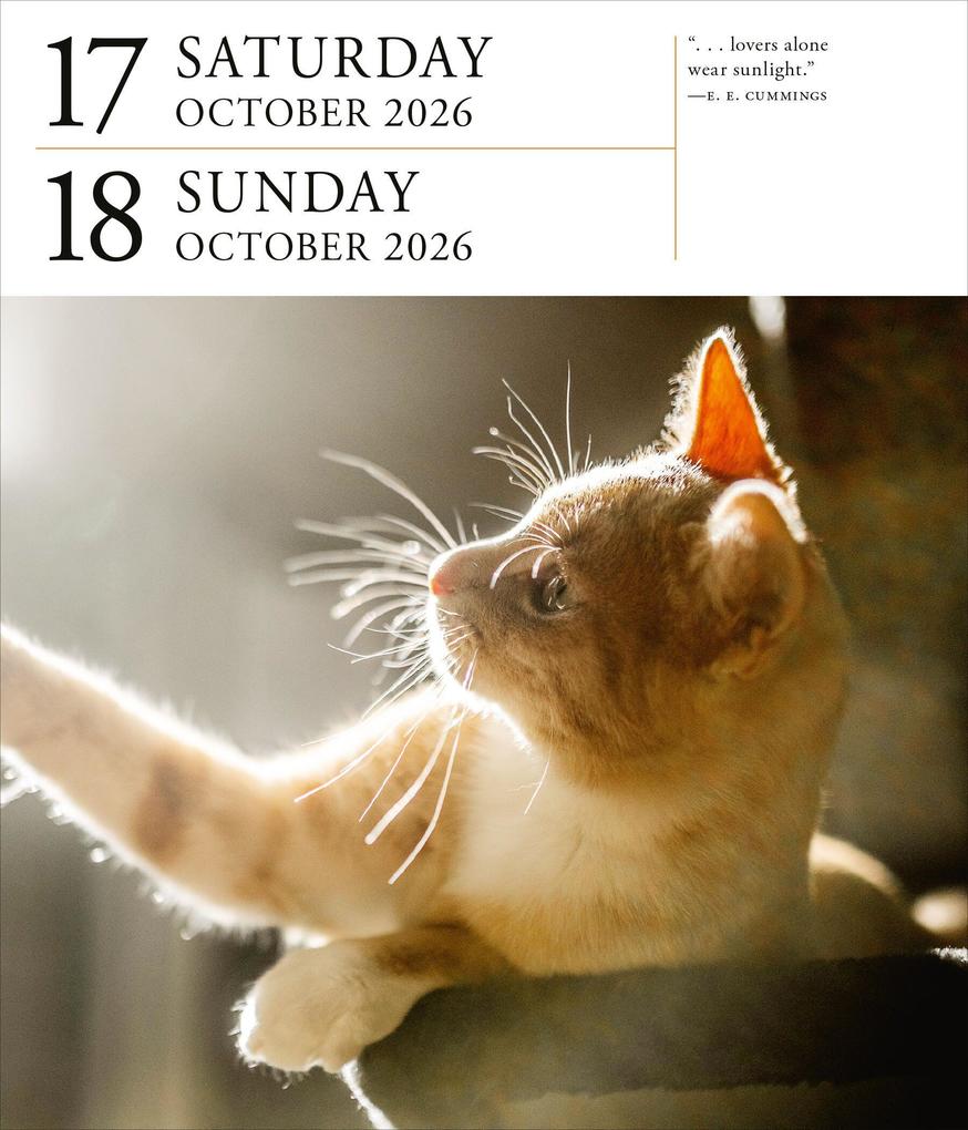 Weitere Ansicht: Cat Page-A-Day® Gallery Calendar 2026