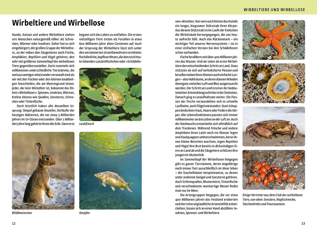 Weitere Ansicht: Der große Kosmos-Naturführer Tiere und Pflanzen | - -