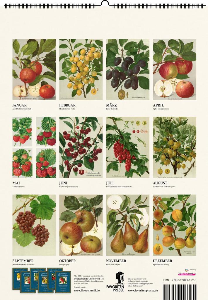 Weitere Ansicht: Alte Obstsorten. Wandkalender 2026