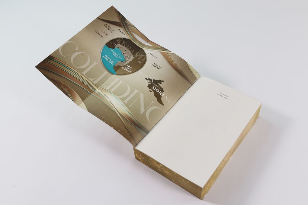 Weitere Ansicht: Colliding Hopes (Driven Dreams-Dilogie, Band 2) | Carolin Wahl